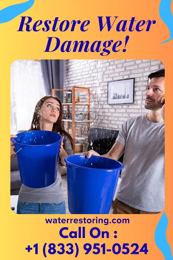 water restoration Patriot Flood Damage Masters Eden Isle