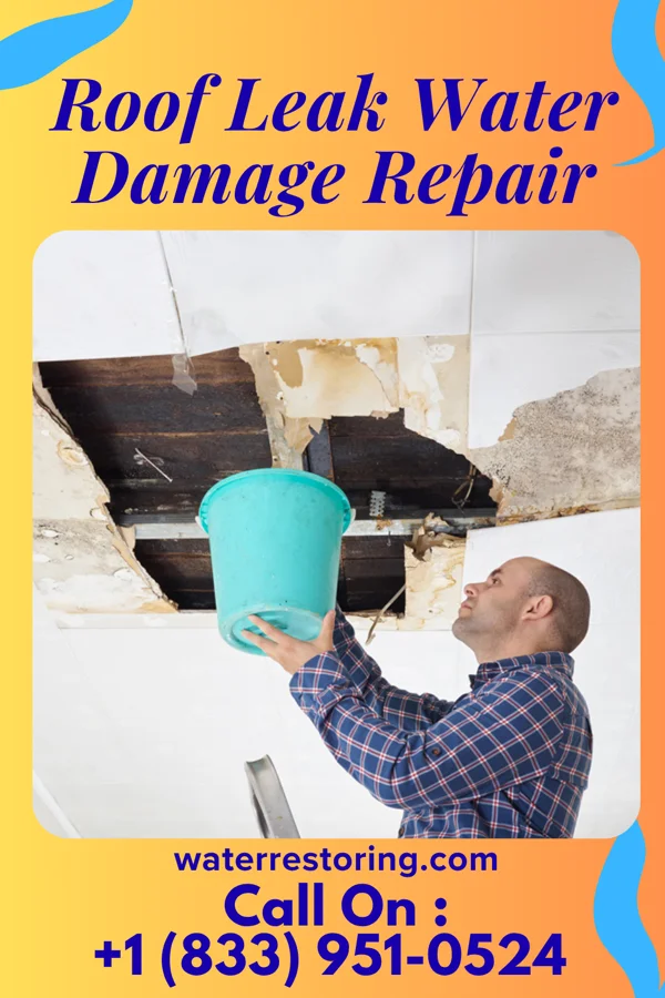 Roof Leak Water Damage Repair in Eden Isle, LA